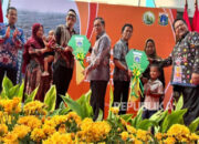 Biaya Sewa Mulai Rp 865 Ribu, Begini Cara Dapatkan Unit Rusun Jagakarsa