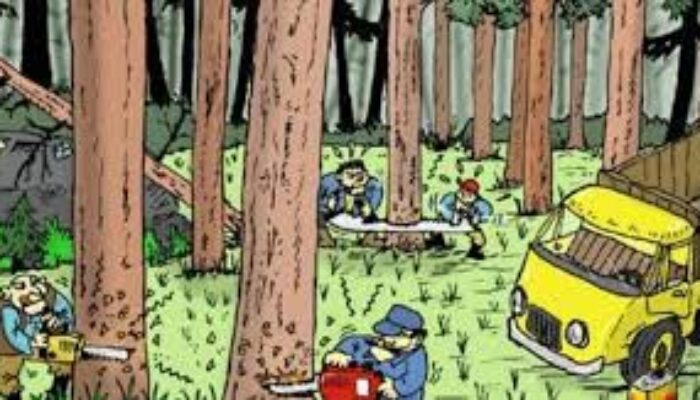 DPN FAMI Ungkap Jaringan Perusak Hutan Papua: “Ini Bukan Sekadar Pelanggaran, Ini Penjarahan”