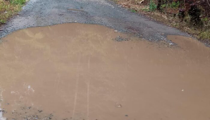 Abai Bertahun-tahun, Dua Pemuda Sa’dan Ulusalu Kecam Kinerja Pemkab Toraja Utara dan Sikap Antikritik Anggota Dewan